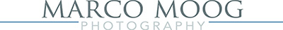 logo Moog
